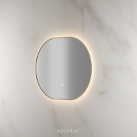 Lumiere Backlit & Demister Oval Mirror 800mm Brushed Gold